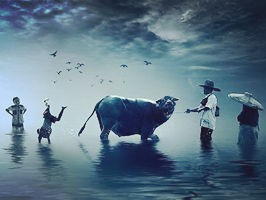 新手小白怎么注册X-twitter？(2024最全的推特登陆教程)