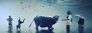 新手小白怎么注册X-twitter？(2024最全的推特登陆教程)